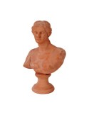 Terracotta Niobe Bust